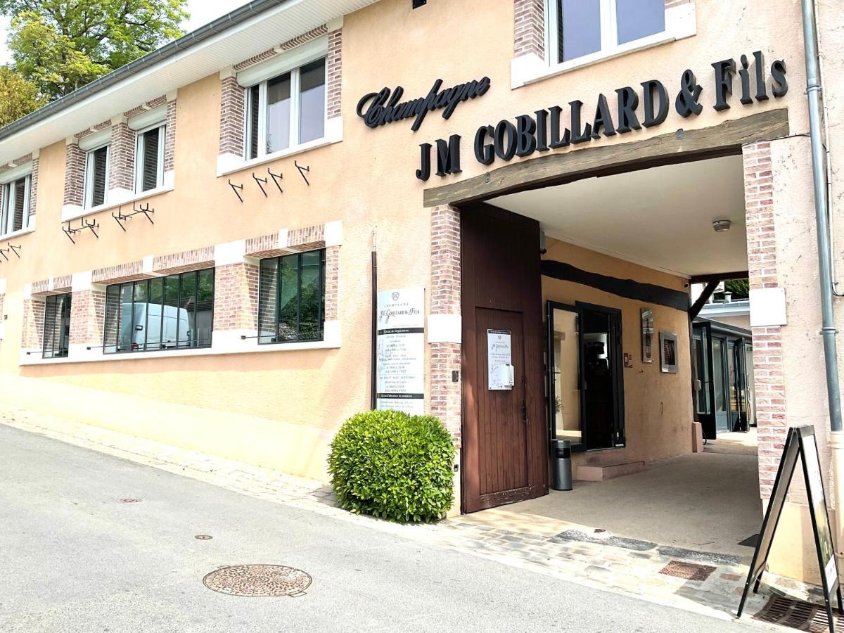 Les Loges Du Theatre Degustation Champagne Offerte Jacuzzi Sauna Jeux Velos Maison Prive 150M2 Historique 14Pers Max Emplacement Exceptionnel Et Chic, 200M De L'Avenue De Champagne, Gare, Musee, Jardins, Restaurations, Toutes Commodites Еперне Екстериор снимка