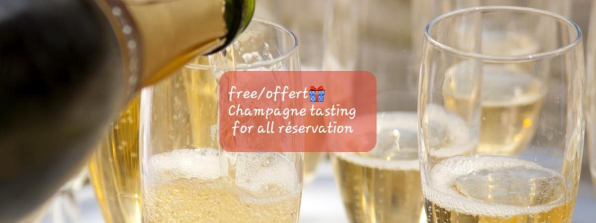 Les Loges Du Theatre Degustation Champagne Offerte Jacuzzi Sauna Jeux Velos Maison Prive 150M2 Historique 14Pers Max Emplacement Exceptionnel Et Chic, 200M De L'Avenue De Champagne, Gare, Musee, Jardins, Restaurations, Toutes Commodites Еперне Екстериор снимка