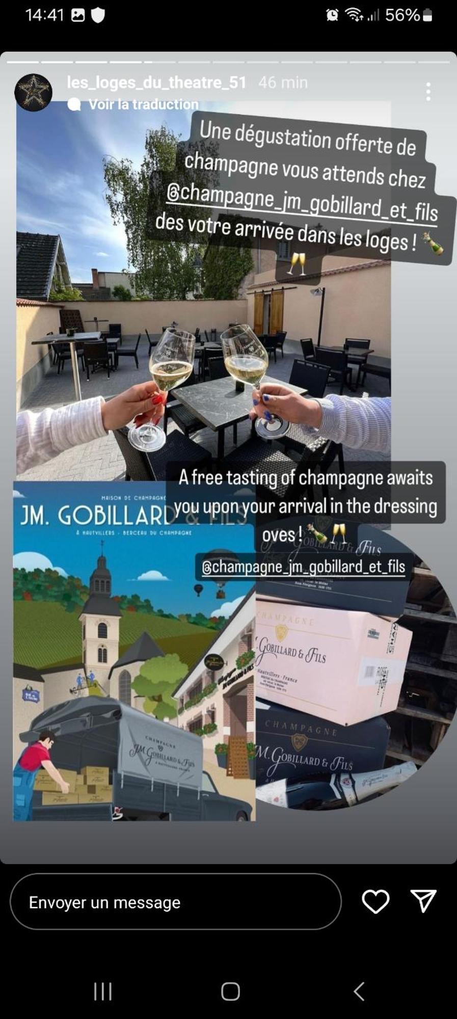 Les Loges Du Theatre Degustation Champagne Offerte Jacuzzi Sauna Jeux Velos Maison Prive 150M2 Historique 14Pers Max Emplacement Exceptionnel Et Chic, 200M De L'Avenue De Champagne, Gare, Musee, Jardins, Restaurations, Toutes Commodites Еперне Екстериор снимка