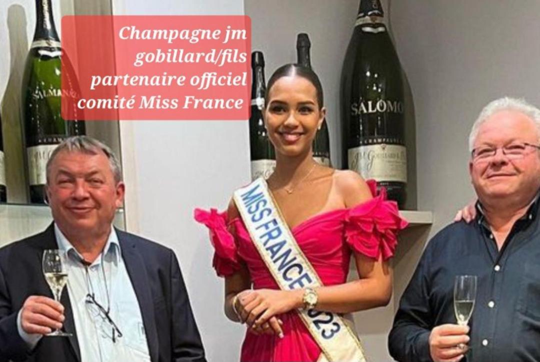 Les Loges Du Theatre Degustation Champagne Offerte Jacuzzi Sauna Jeux Velos Maison Prive 150M2 Historique 14Pers Max Emplacement Exceptionnel Et Chic, 200M De L'Avenue De Champagne, Gare, Musee, Jardins, Restaurations, Toutes Commodites Еперне Екстериор снимка